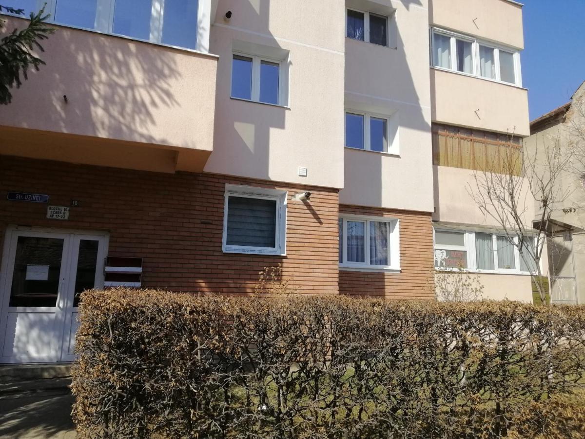 Studio Acasa Sibiu Exterior foto